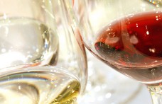 Tutti i vini VinoVip Cortina