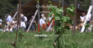 vinovip-2015-video