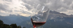 vinovip-2015-faloria-wine-tasting-delle-aquile
