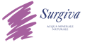 sponsor-surgivapng